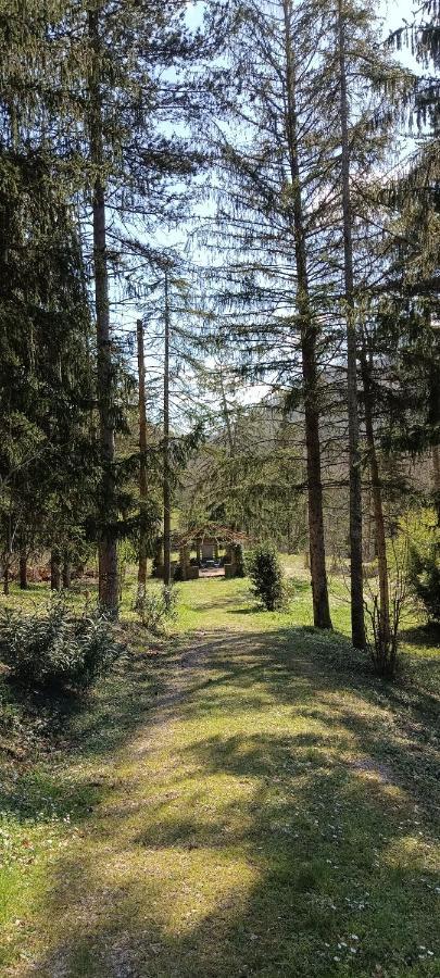 Ferienwohnung Casale La Pineta Mombaroccio Exterior foto